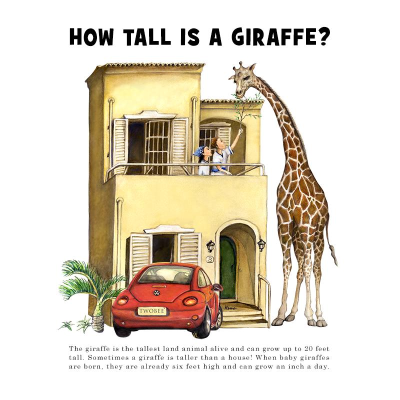 [SA-034] How Tall Giraffe Stock Art