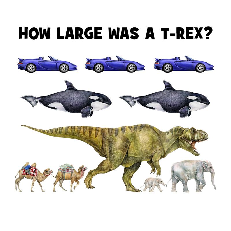 [SA-040] How Large T Rex Stock Art