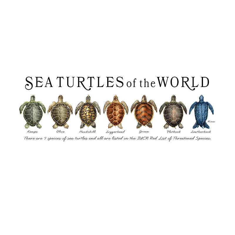 [SA-078] World Sea Turtles Row Stock Art