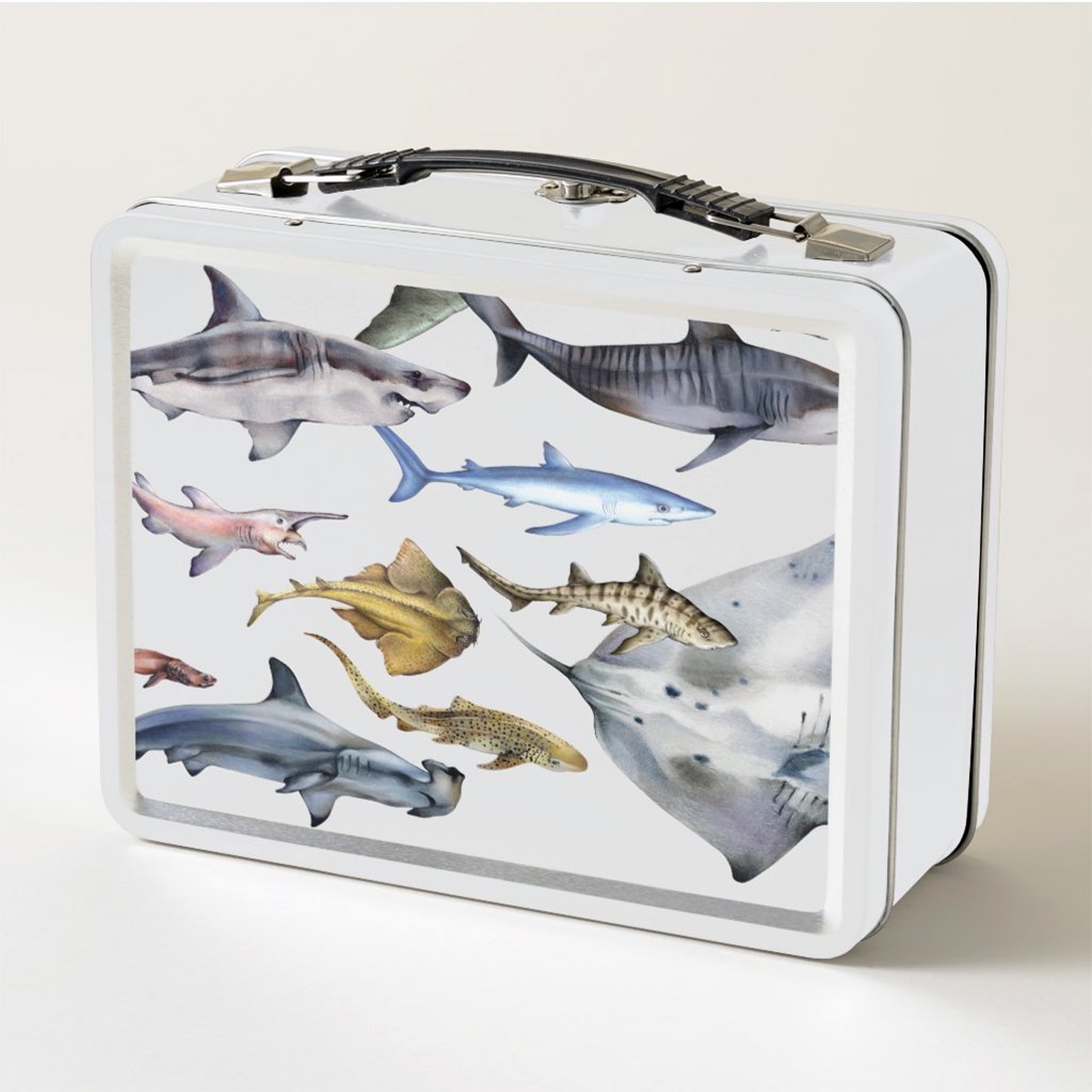 [079-LBT] Sharks of the World Lunch Box FB