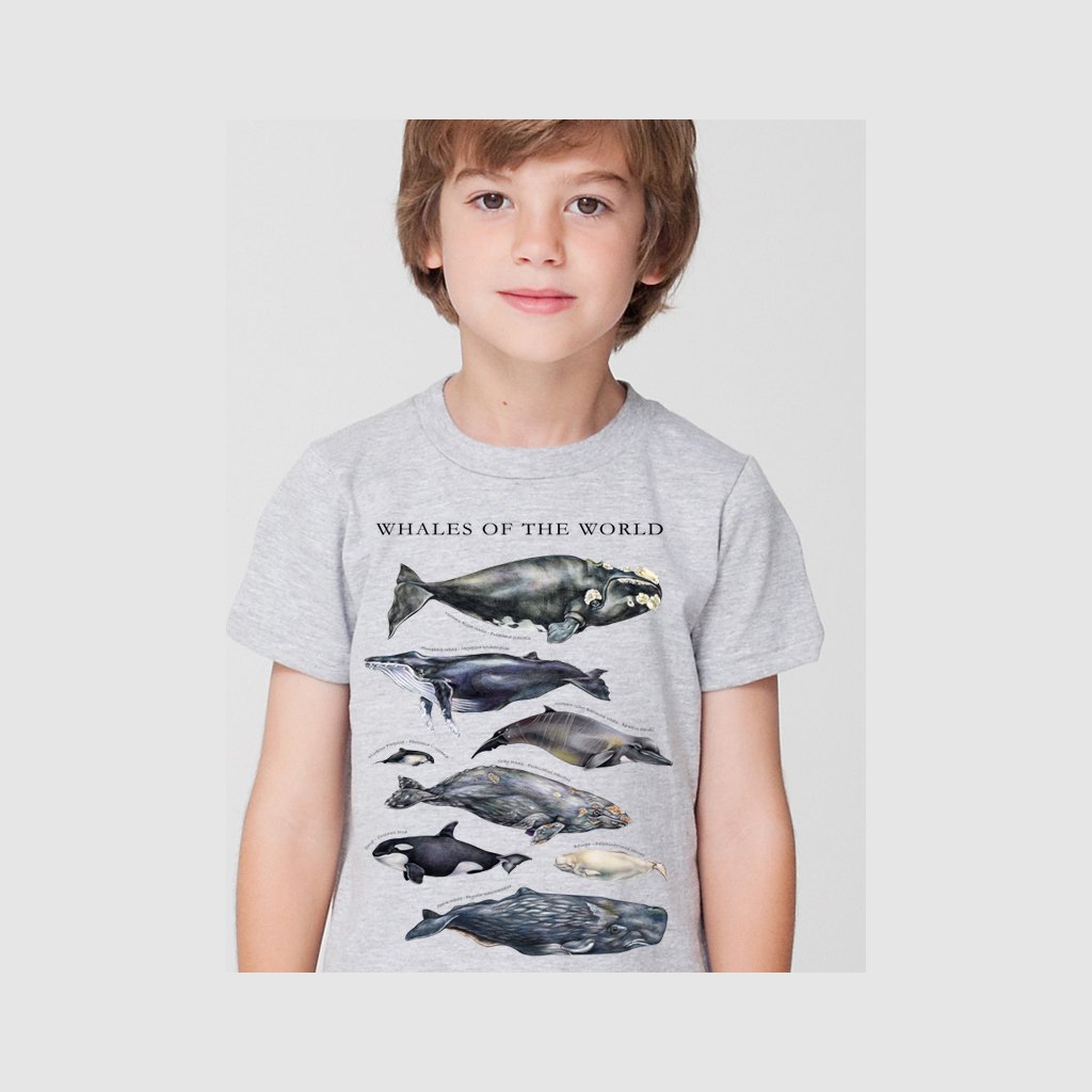 [080-T] Whales of the World Tee