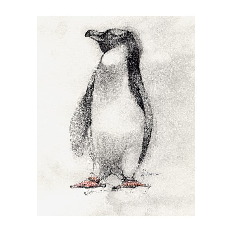 [SA-172] White Flippered Penguin Stock Art
