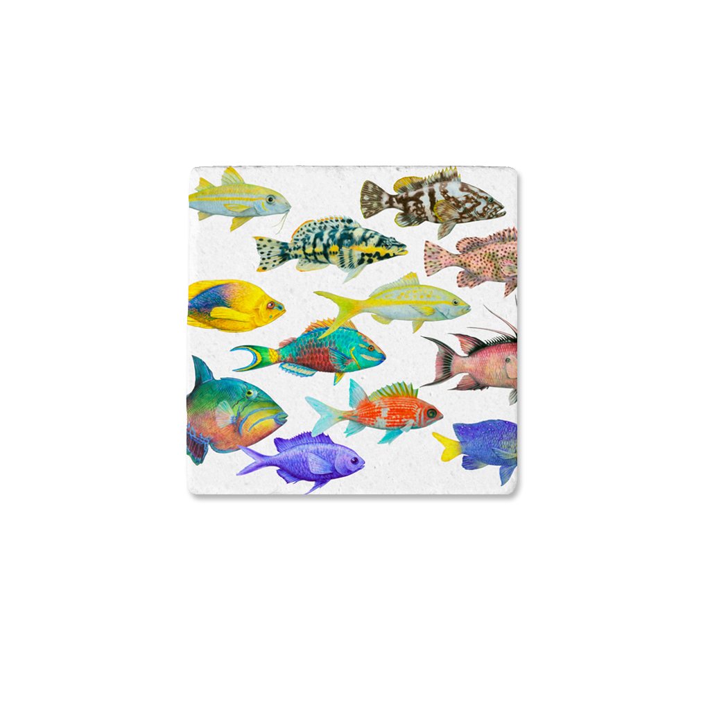 [CST-200] Fish of the Atlantic Coasters