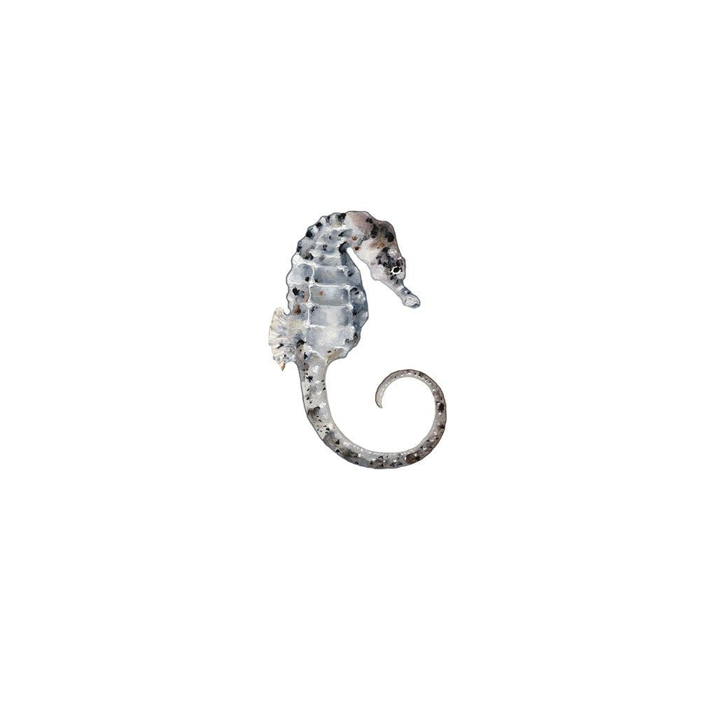 [224-MGL] Capensis Seahorse Laser Magnet