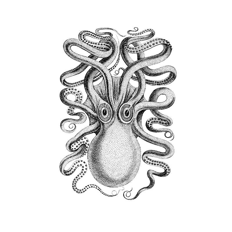 [SA-375] Vintage Octopus Stock Art*