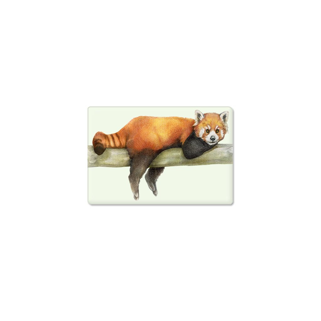 [411-SM] Red Panda Single Magnet