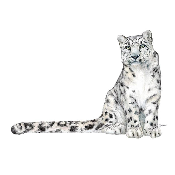 SA-466] Snow Leopard 1 Stock Art – TwoBee, LLC