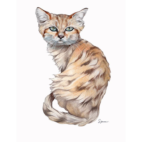 SA-492] Sand Cat Stock Art – TwoBee, LLC