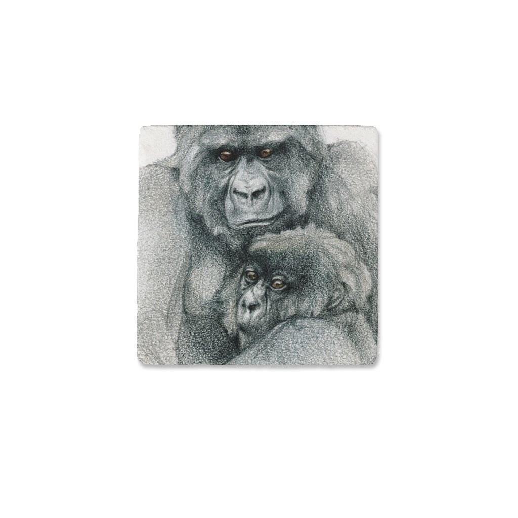 [CST-577] Mountain Gorilla Duo1 Coasters
