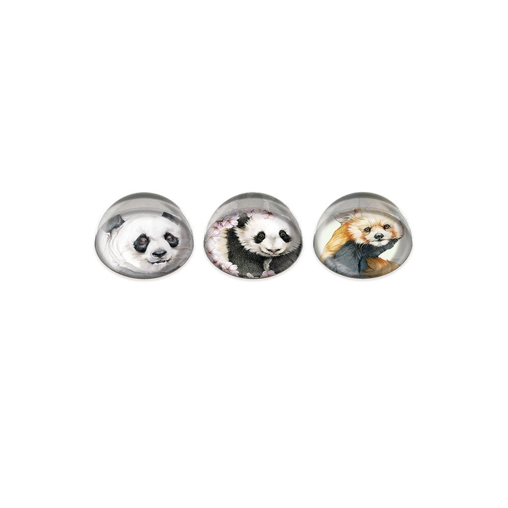 [0046-MGC] Panda Cabochon Magnet or Paper Weight Set