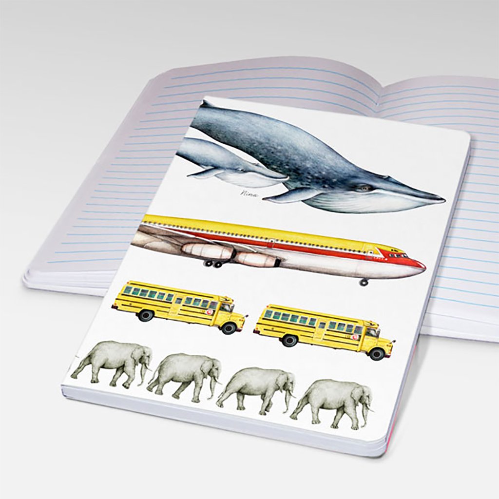 [029-STJ] How Long is a Whale Notebooks