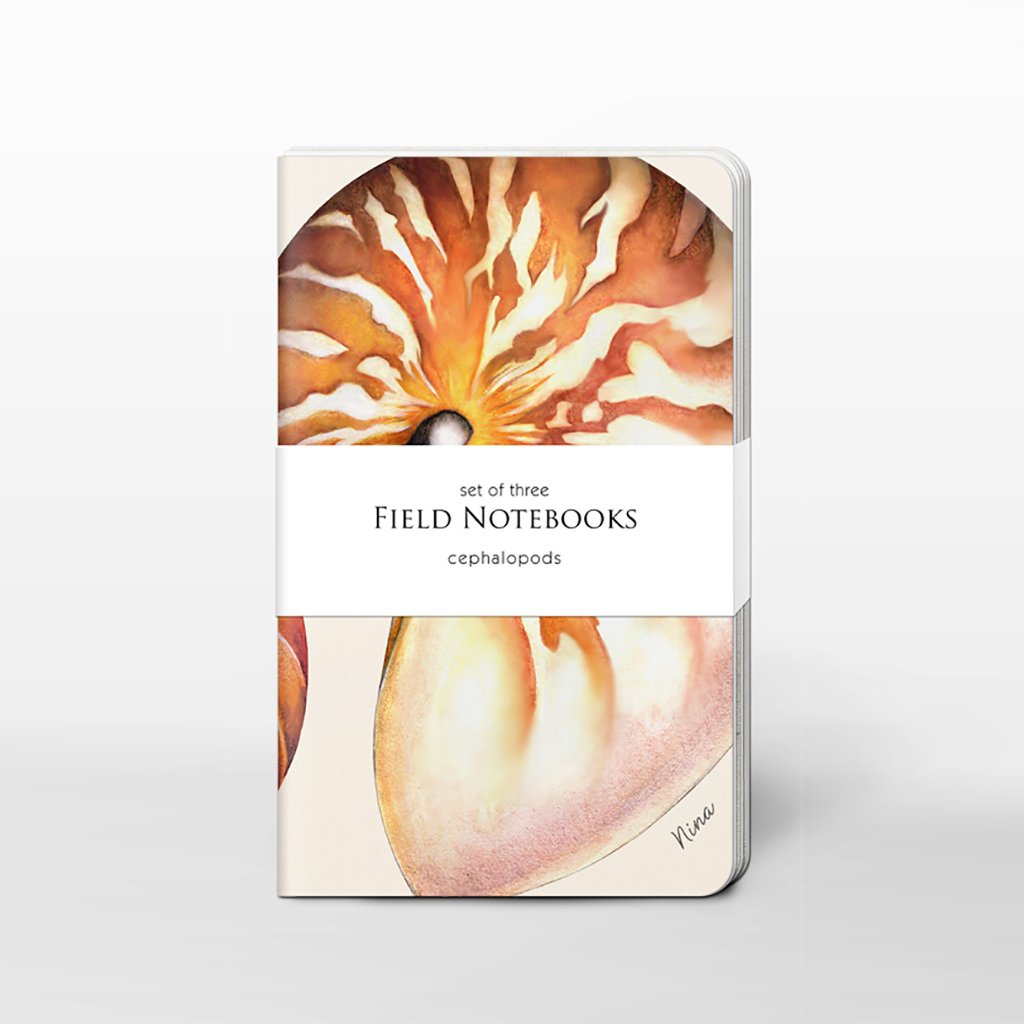 [0350C-SJ465] Cephalopods Field Journal Set