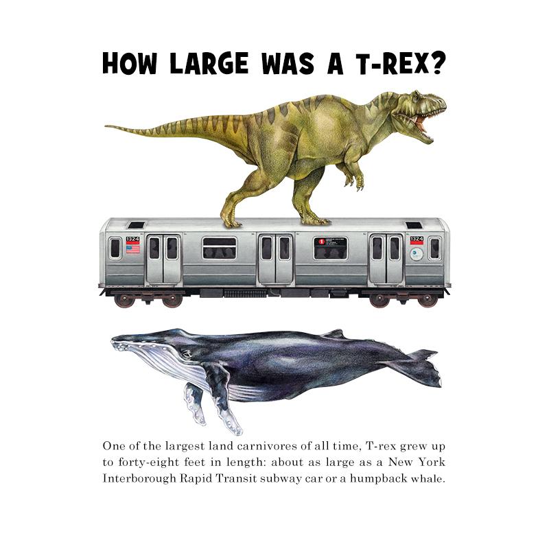 [SA-041] How Large T Rex Stock Art