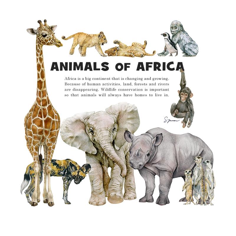 [SA-050] Animals Africa Stock Art