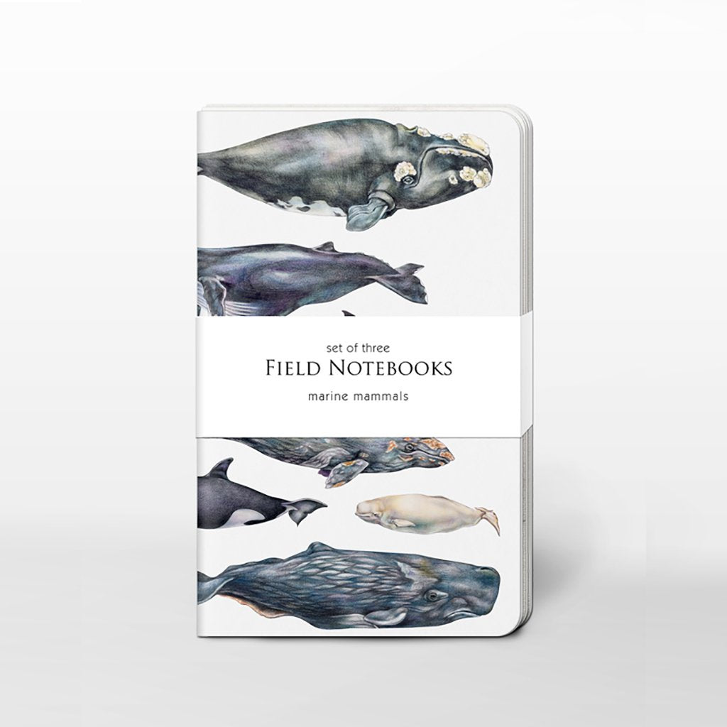 [0500C-SJ465] Marine Mammals Field Journal Set