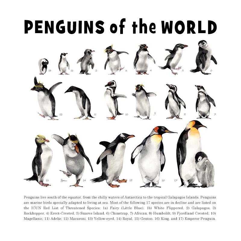 [SA-072] World Penguins Stock Art