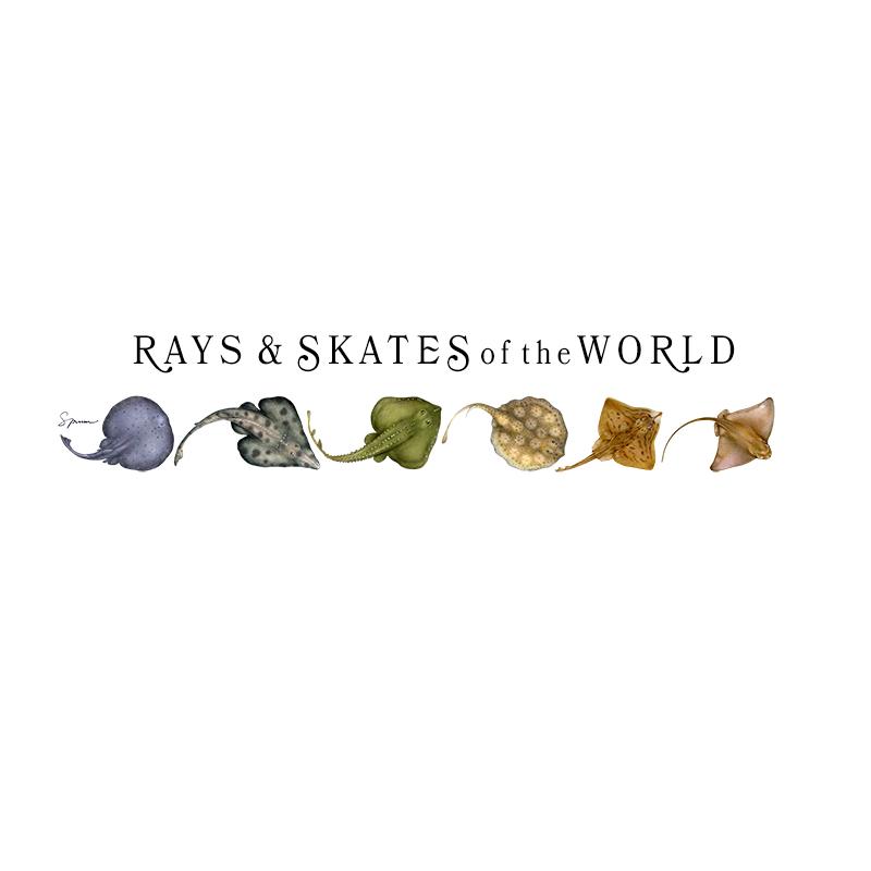 [SA-073] World Rays Skates Stock Art