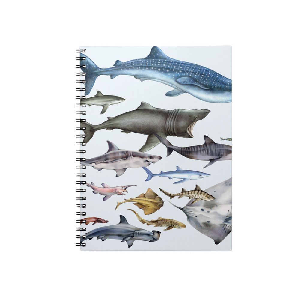 [079-J] Sharks of the World Journal