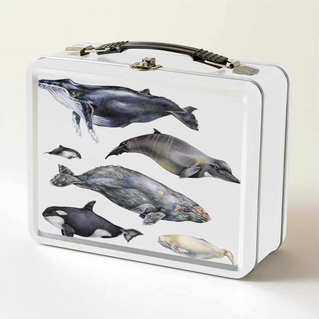 [080-LBT] Whales of the World Lunch Box