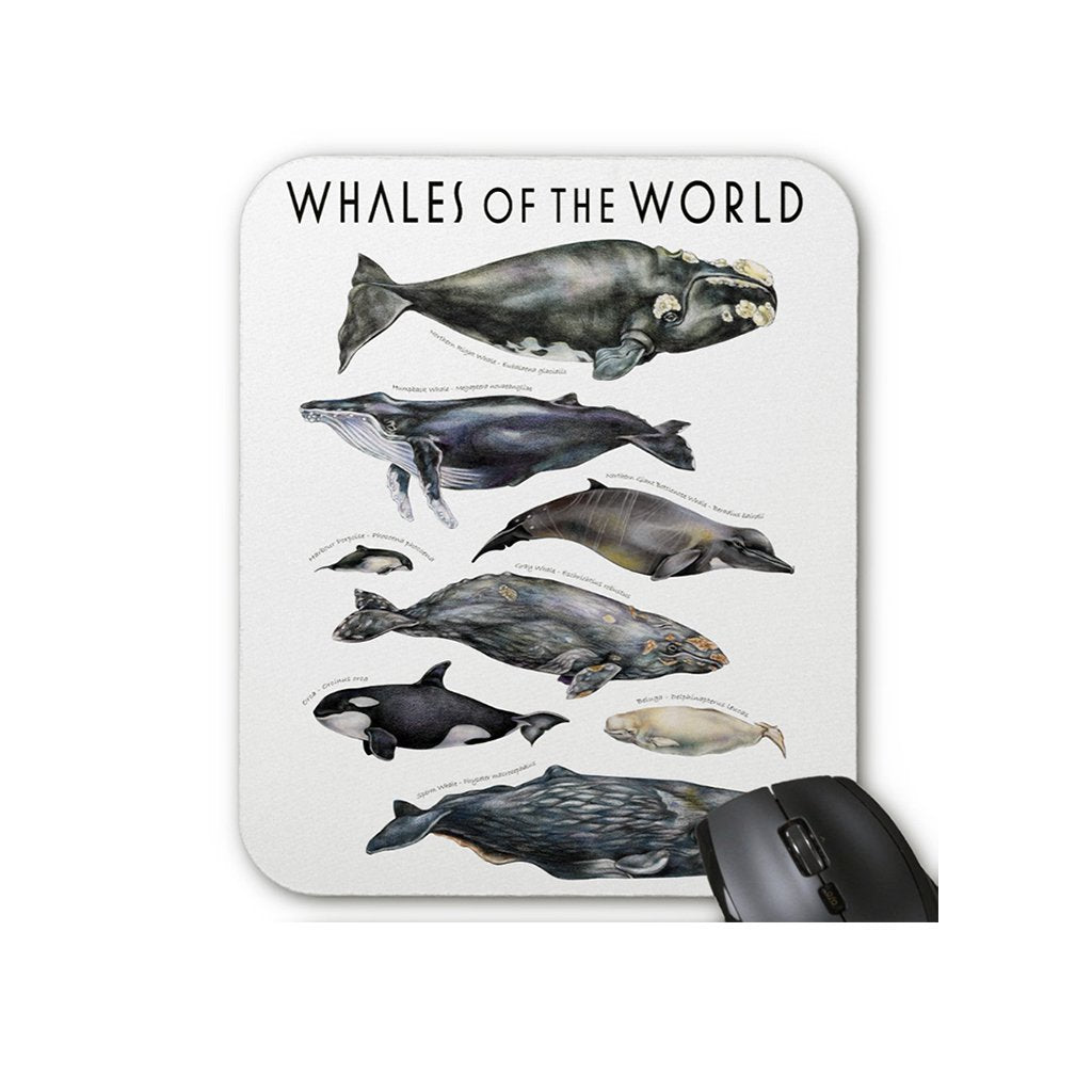 [080-MP] Whales of the World Mousepad