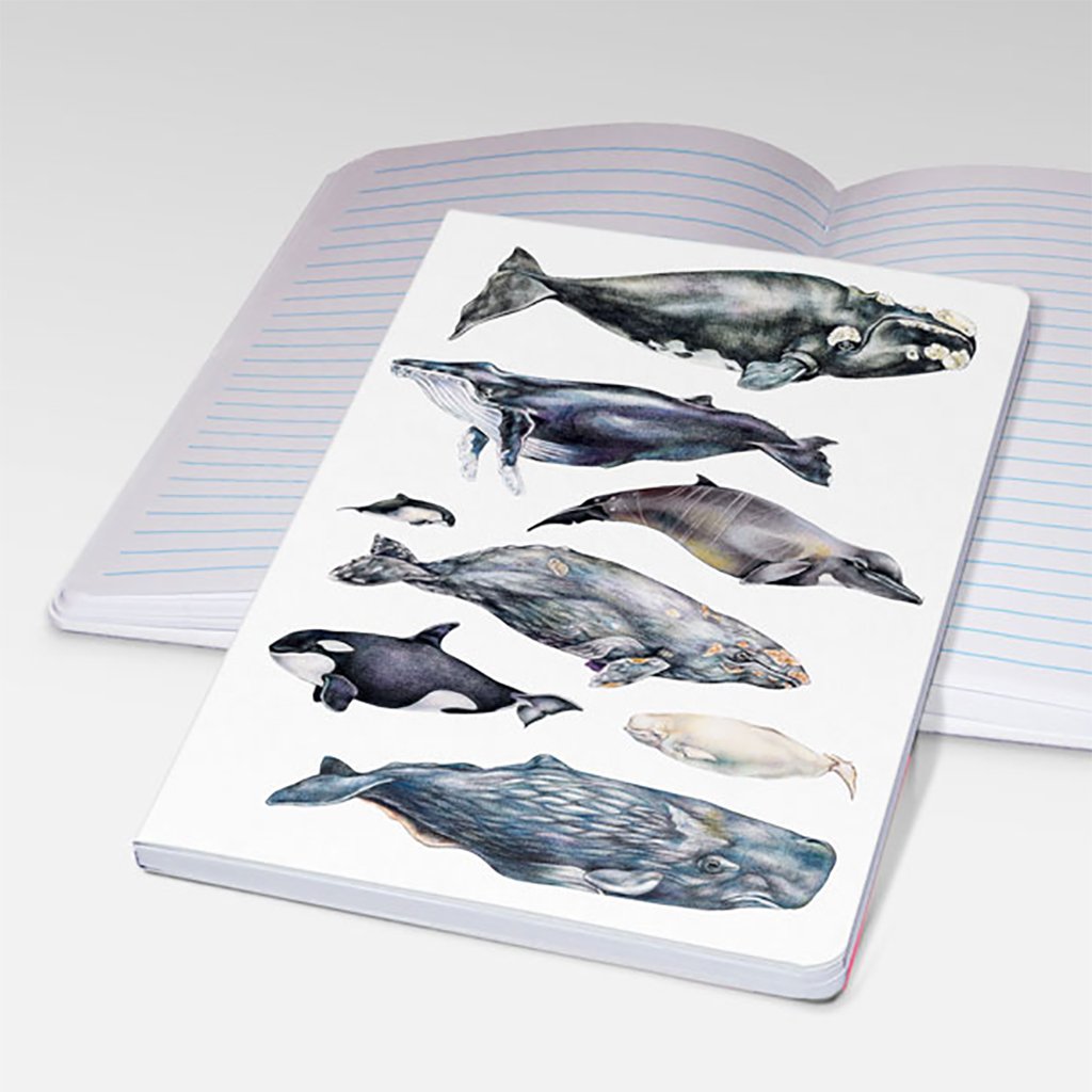 [080-STJ] Whales of the World Notebooks