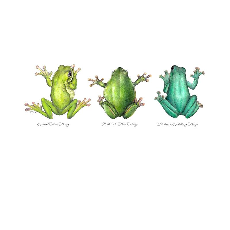 [SA-110] Frog Trio Stock Art