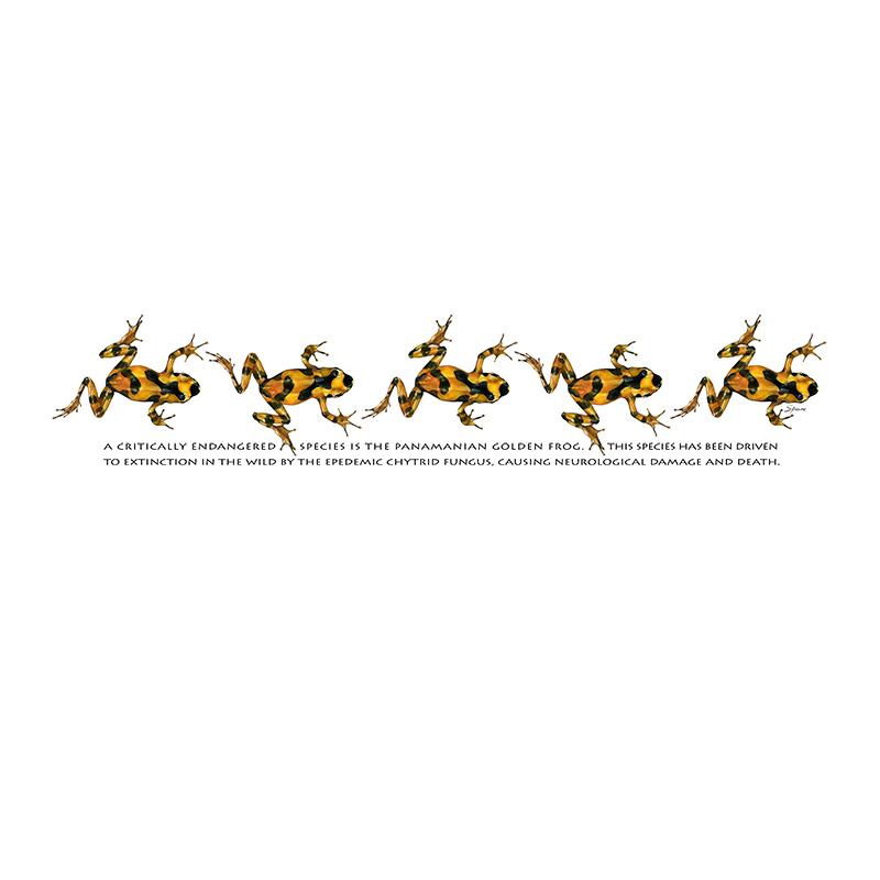 [SA-111] Golden Frogs Stock Art