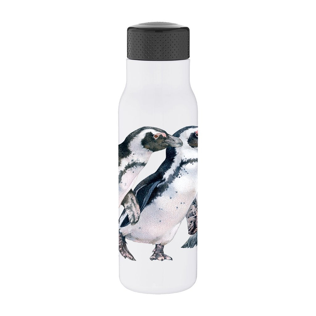 [BT-161] African Penguin Row Tread Bottle