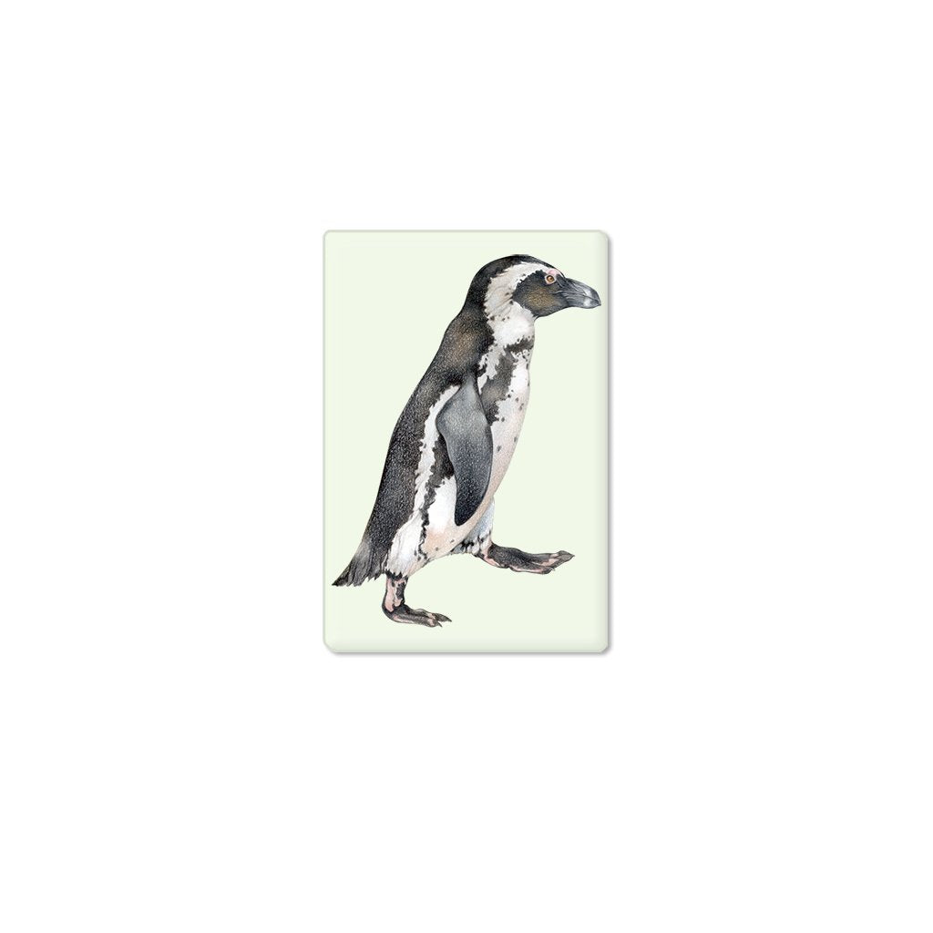 [162-SM] African Penguin Single Magnet