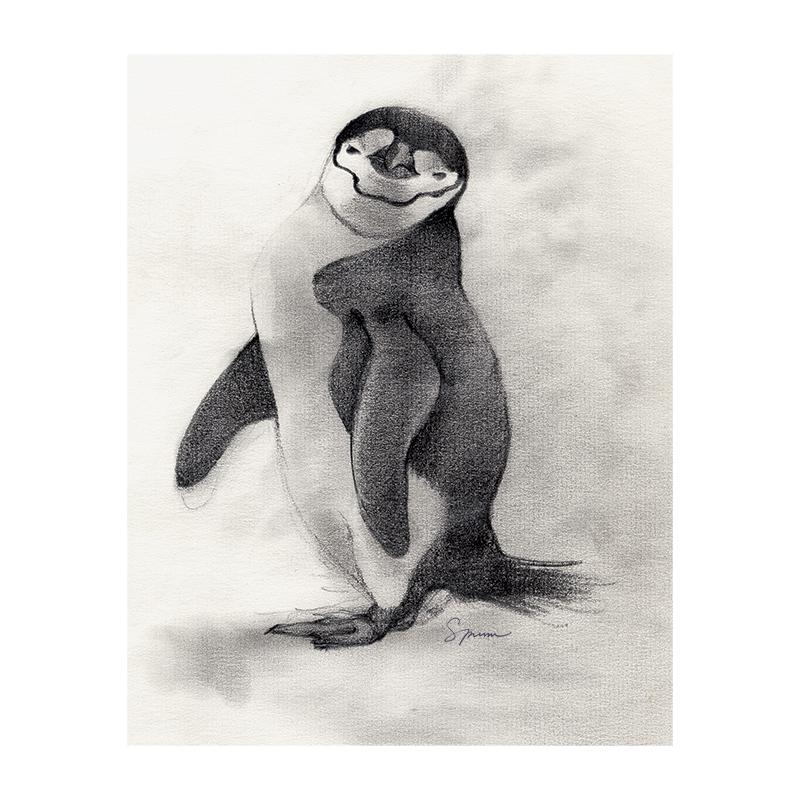 [SA-177] Chinstrap Penguin Stock Art