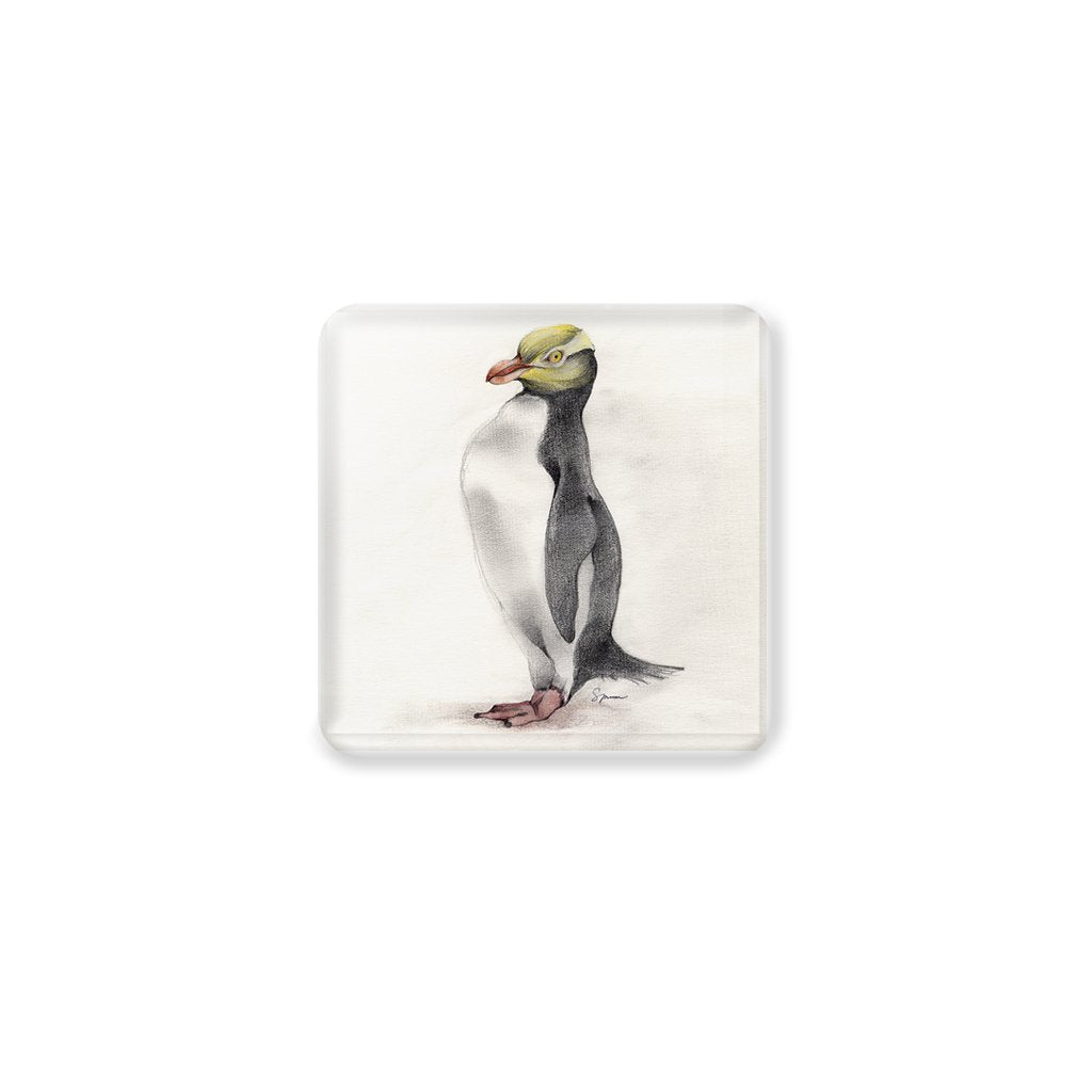 [CST-178] Yellow Eyed Penguin Coasters