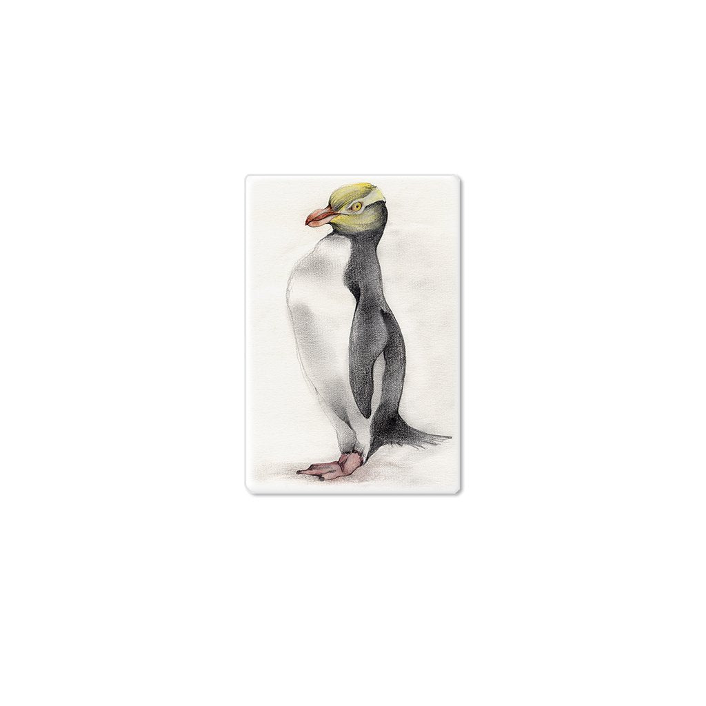 [178-SM] Yellow Eyed Penguin Single Magnet