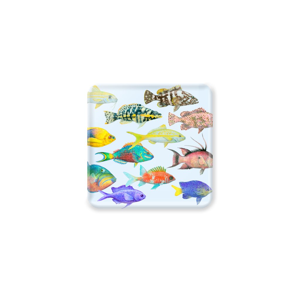 [CST-200] Fish of the Atlantic Coasters