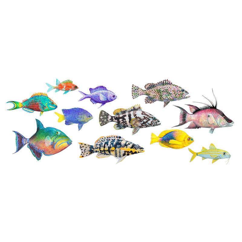 [SA-200] Fish of the Atlantic Horz Stock Art