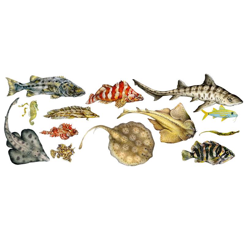 [SA-210] Fish of the Pacific Horz Stock Art