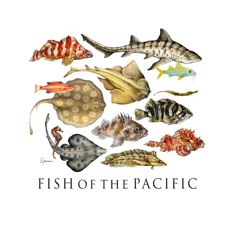 [SA-210] Fish of the Pacific Stock Art