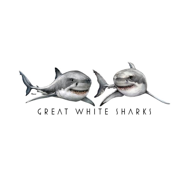 [SA-251] Great White Duo Stock Art