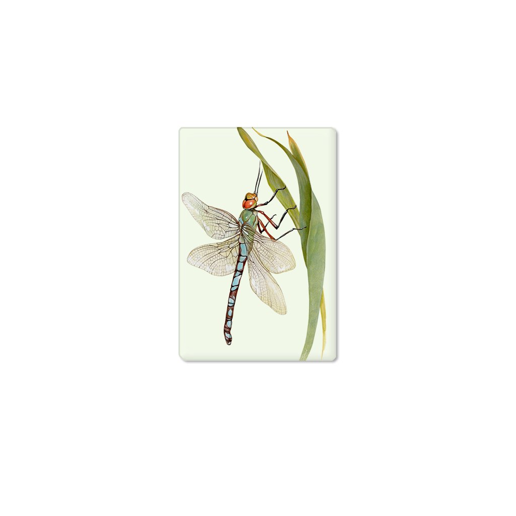[300-SM] Dragonfly Single Magnet