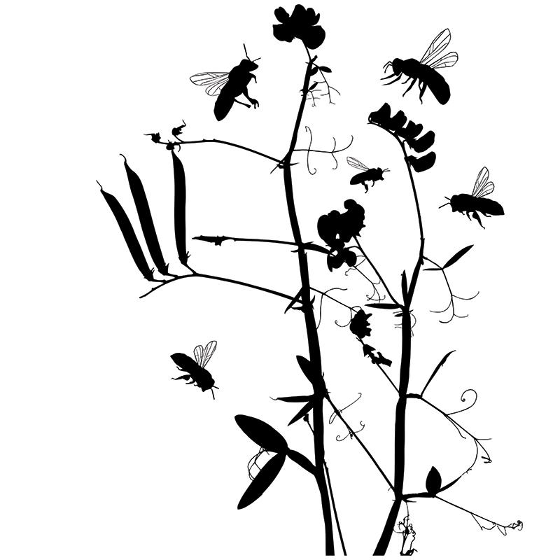 [SA-305] Bees Silhouette Stock Art