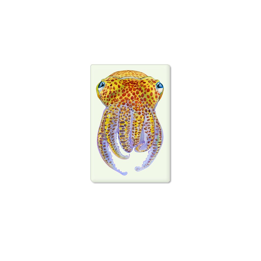 [356-SM] Hawaiian Bobtail Squid Single Magnet