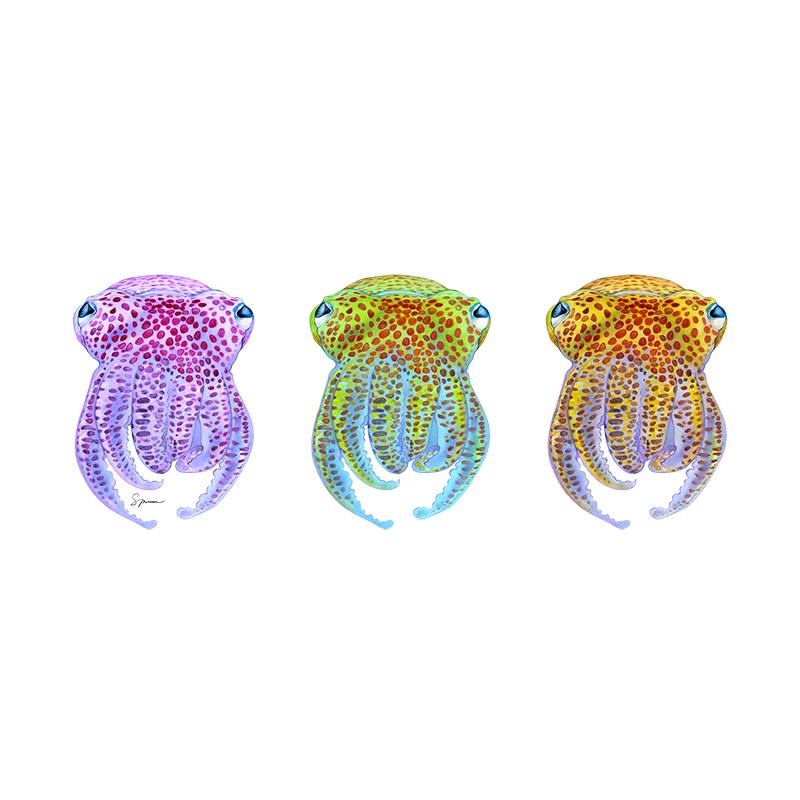 [SA-357] Hawaiian Bobtail Trio Stock Art