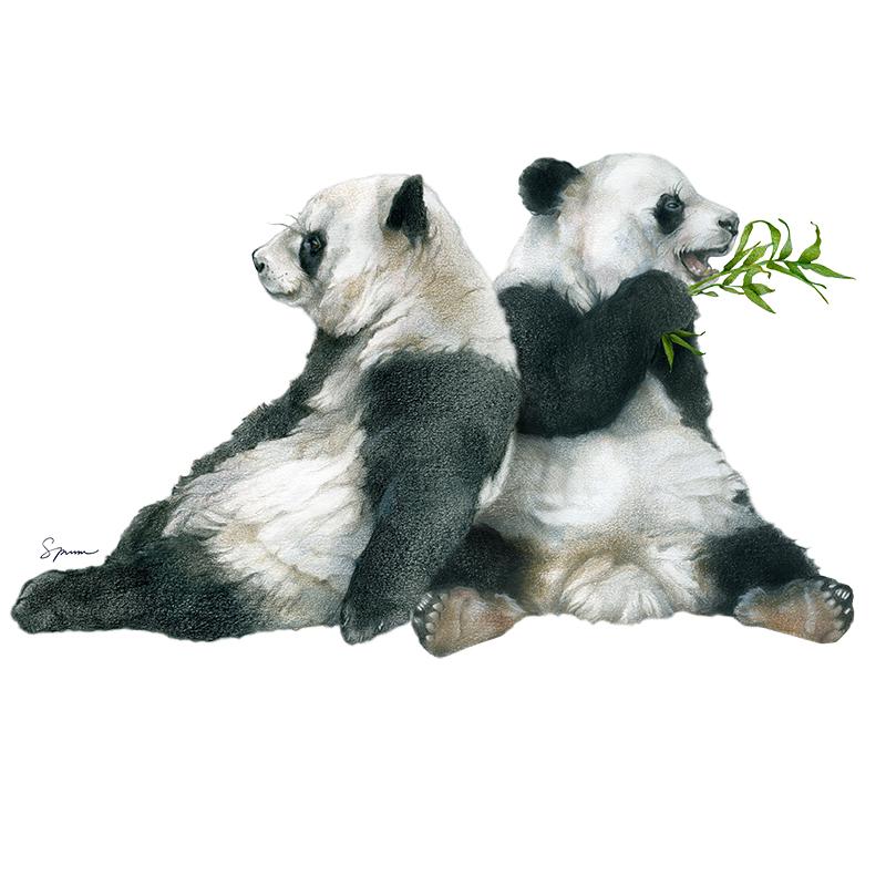 [SA-402] Giant Panda Duo Stock Art
