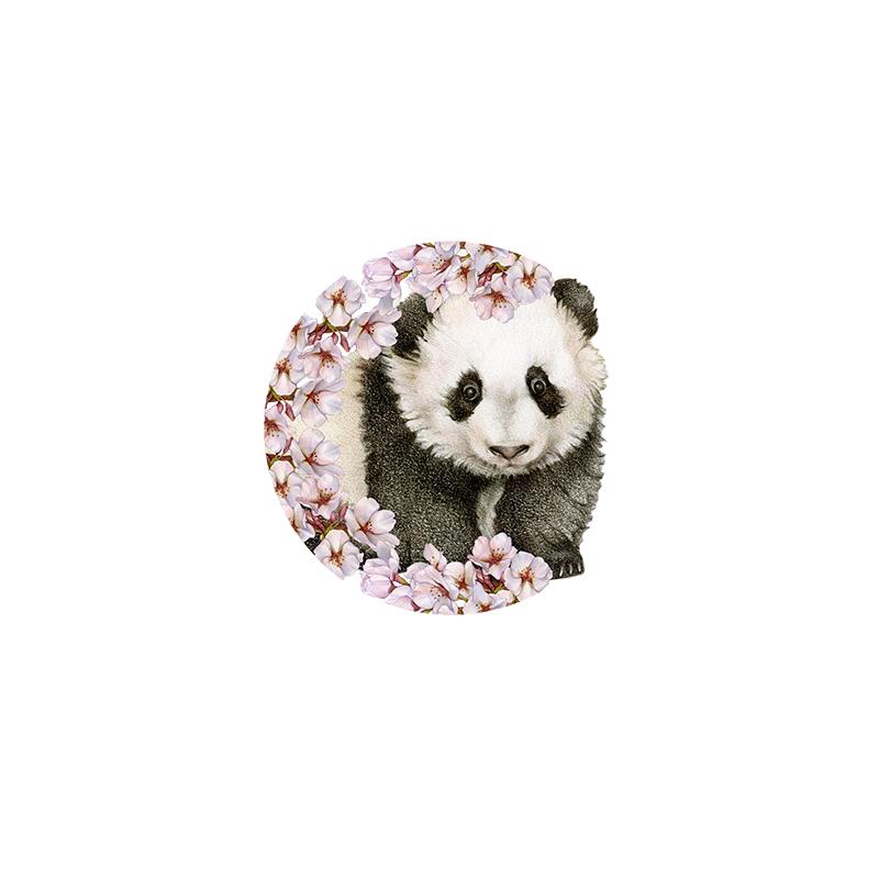 [SA-403] Cherry Blossom Panda Stock Art
