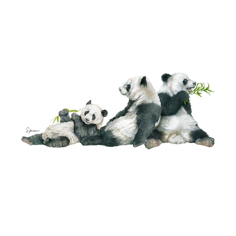 [SA-406] Giant Panda Family Stock Art
