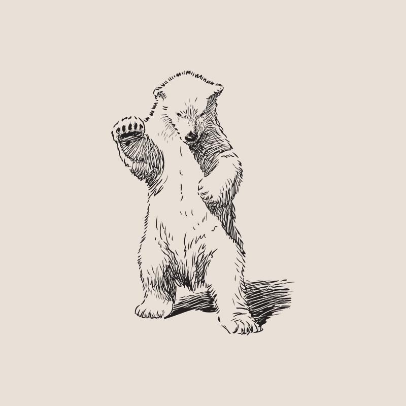 [SA-420] Polar Bear Cub 1 Sketch Stock Art*