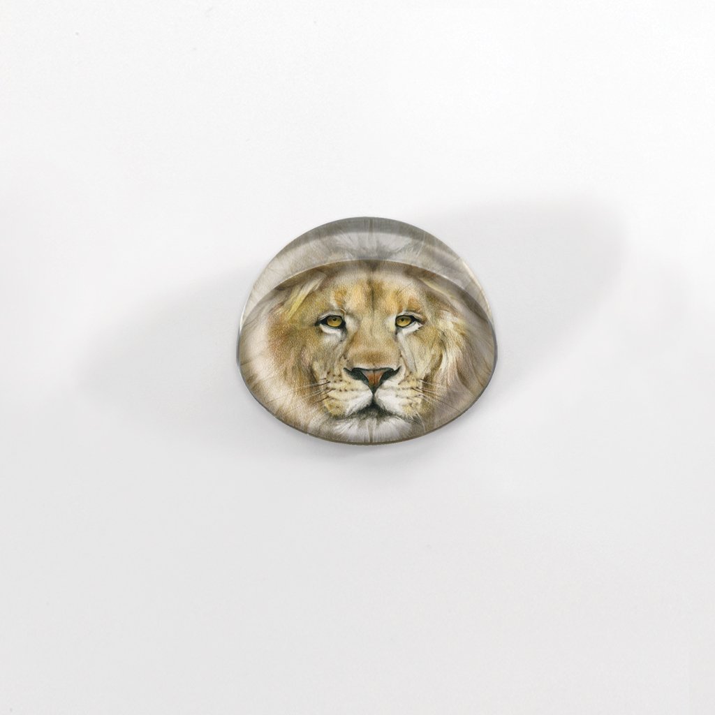 [455-MGC] Lion Portrait Cabochon Magnet