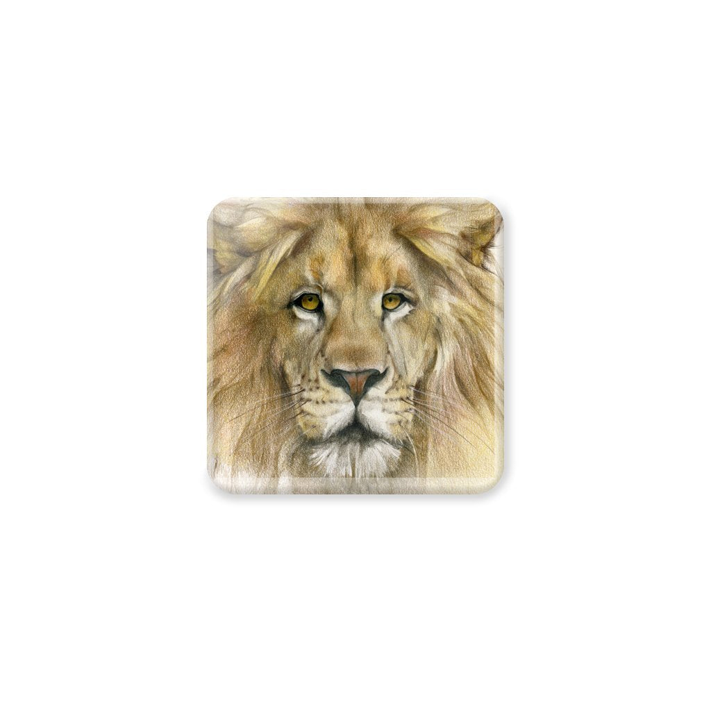 [CST-455] Lion Portrait Coasters