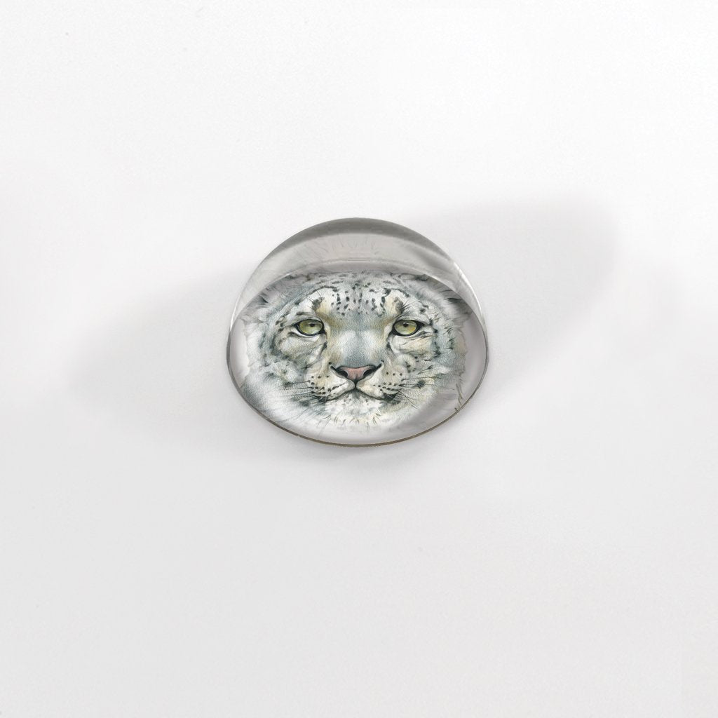 [465-MGC] Snow Leopard Portrait Cabochon Magnet