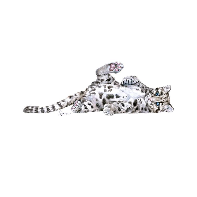 [SA-475] Clouded Leopard Kitten Stock Art