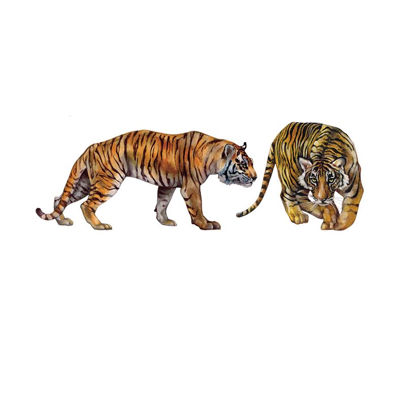 [SA-482] Endangered Tigers Stock Art
